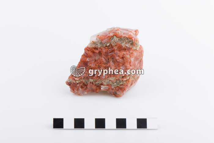 Potasse (Alsace) - gryphea.org